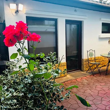Maison Botanique Case de vacanță *