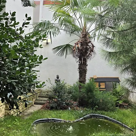 Maison Botanique Case de vacanță