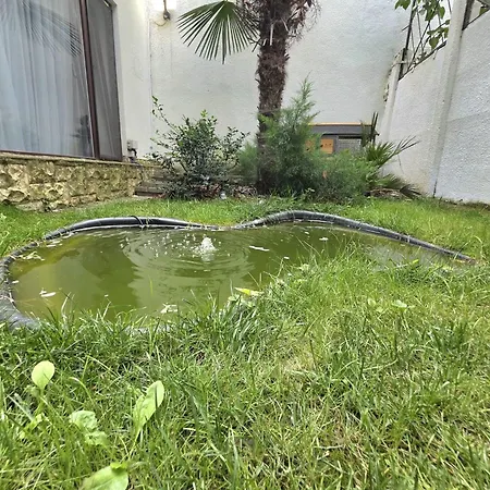 Case de vacanță Maison Botanique